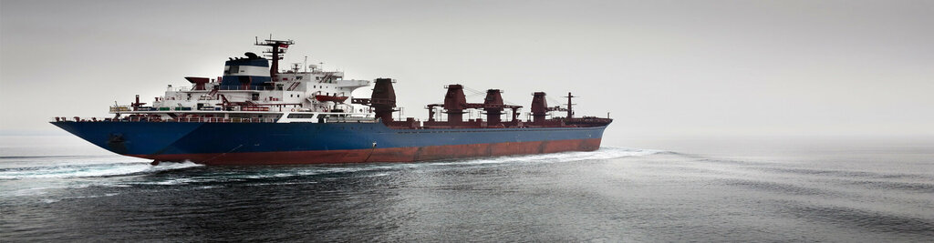 Logistics company Vilvik Shipping LLC, Sharjah, photo