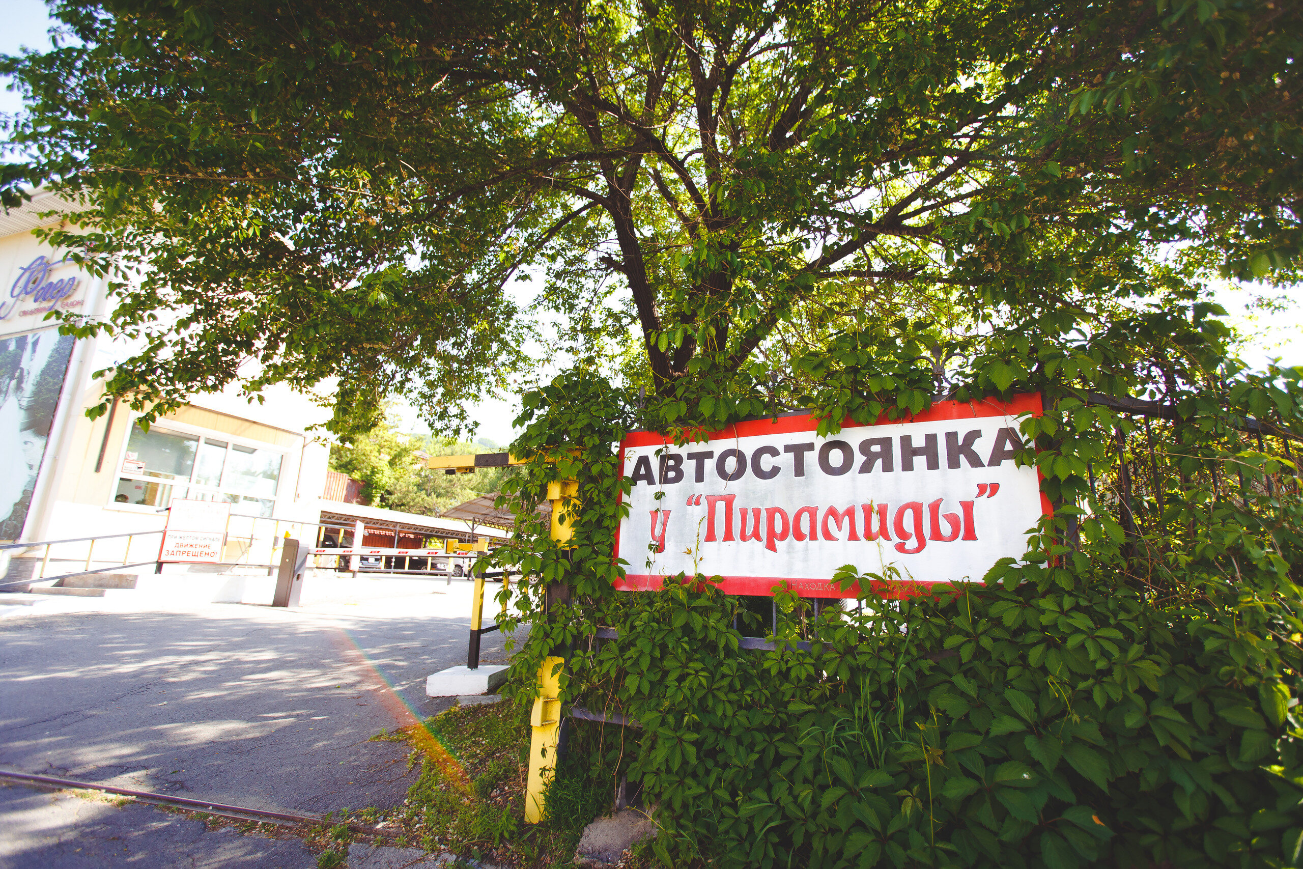 Фото Пирамид Отель