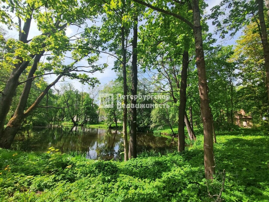 Park Парк Усадьбы Зубовых, Lomonosov, photo