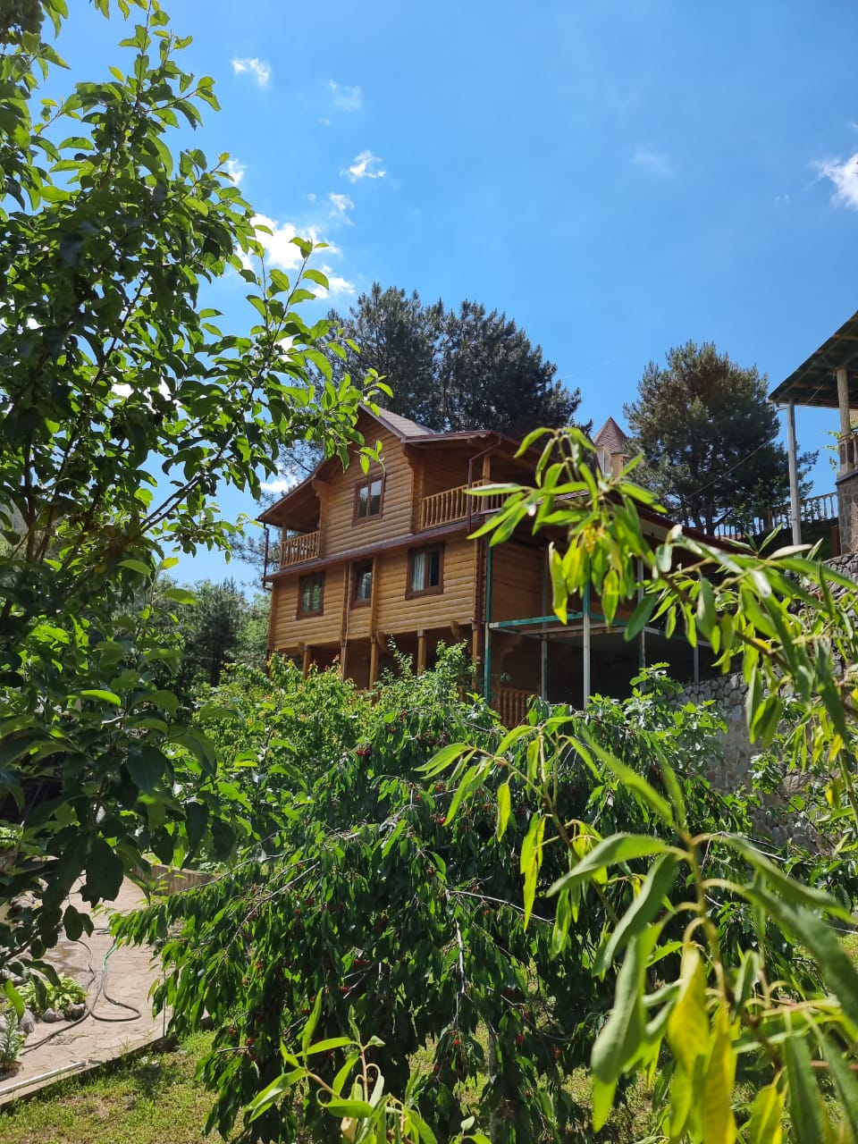 Фото Сердце природы