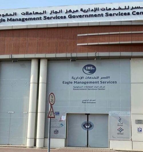 Business consulting Eagle Management Services, Dubai, photo