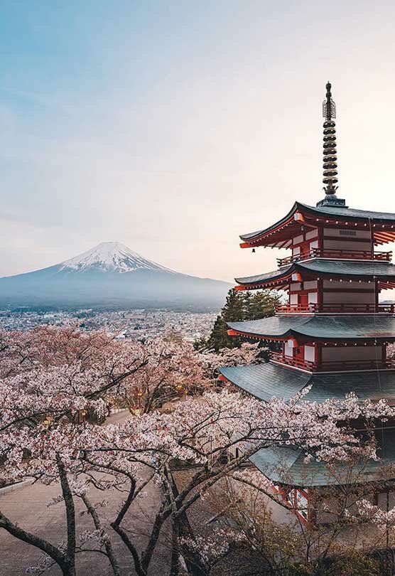 Travel agency Top Travels, Ajman, photo