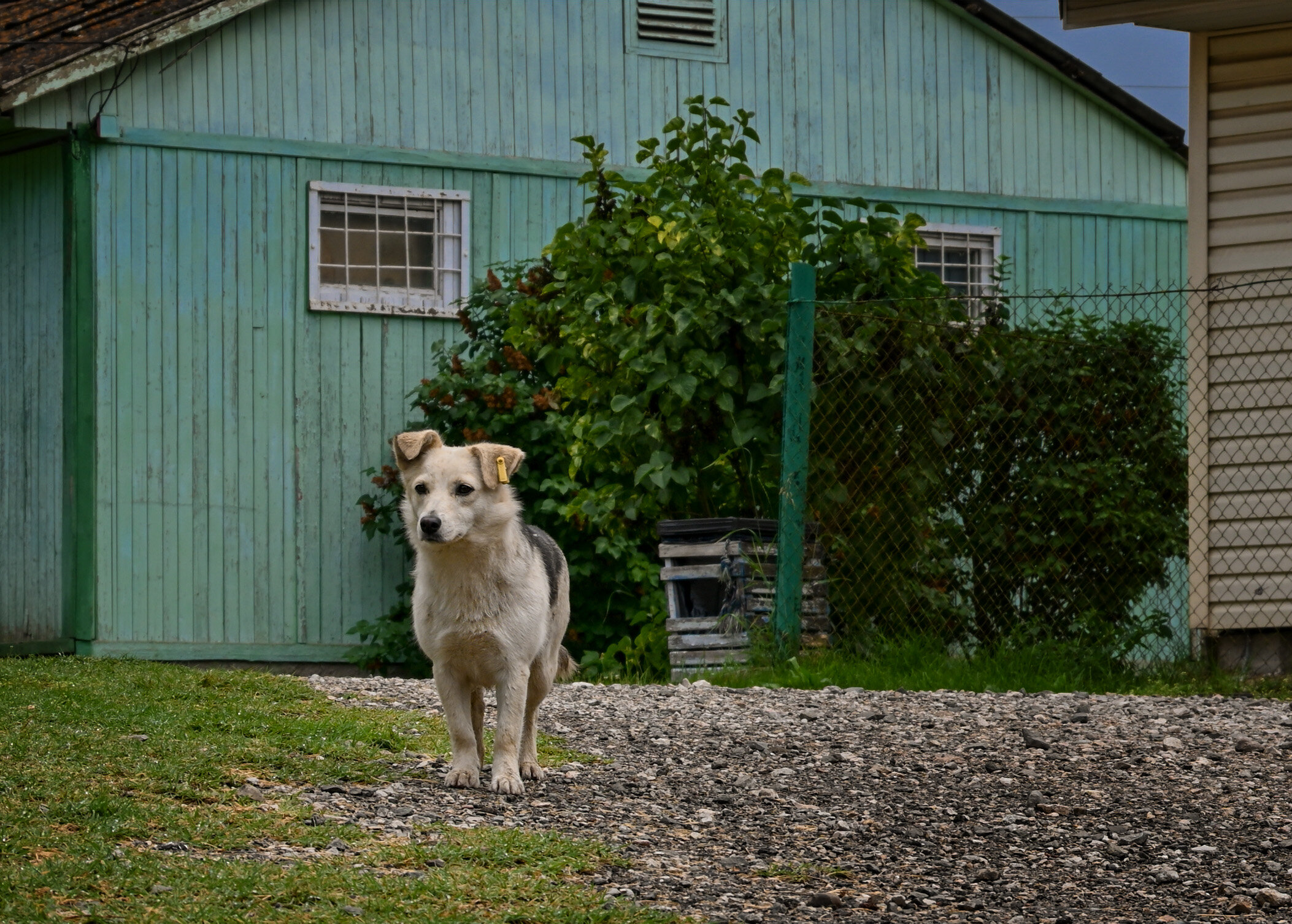 Фото Орлиный залет