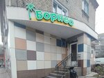 Борнео (Пушкинская ул., 28, Воронеж), турагентство в Воронеже