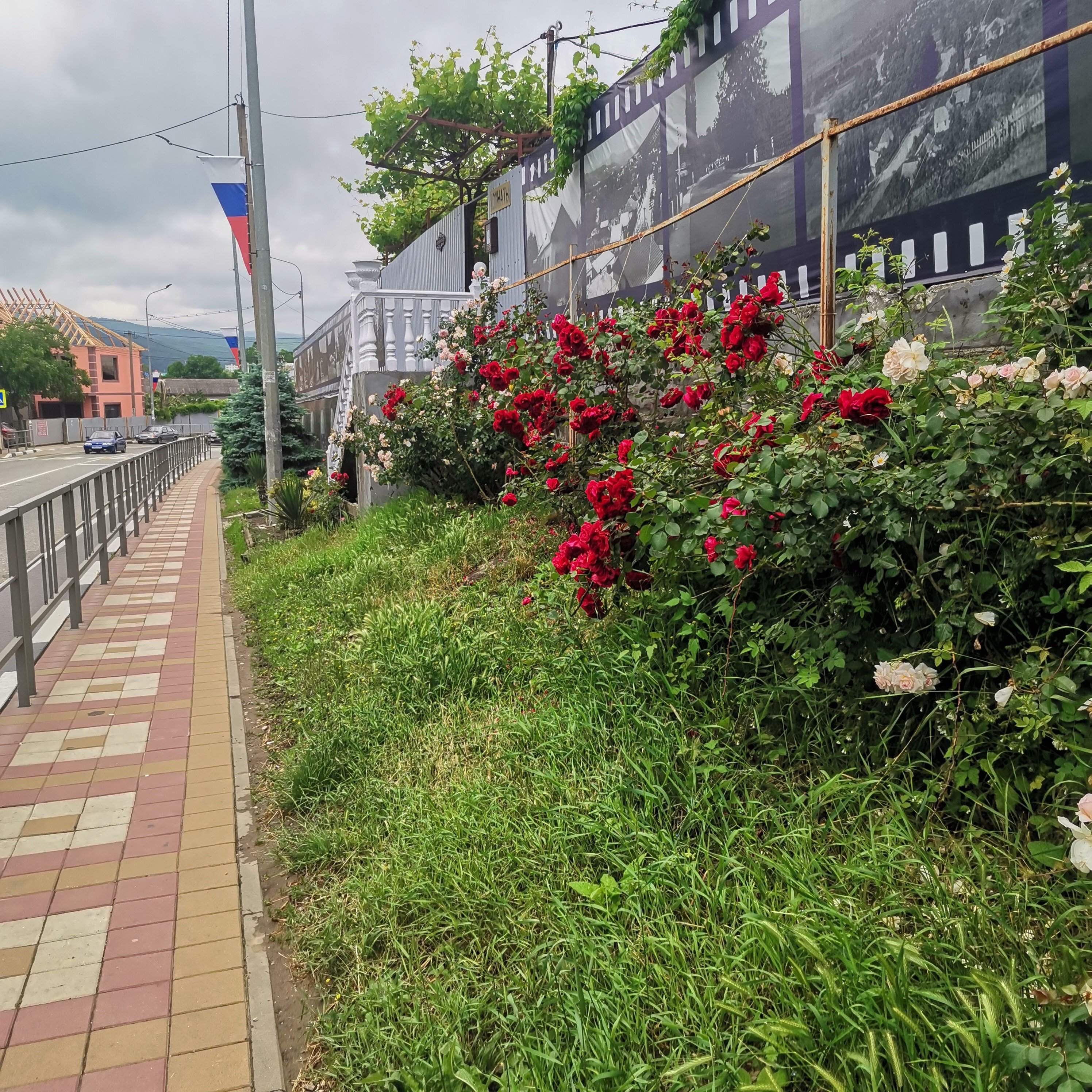 Фото 2 Перца