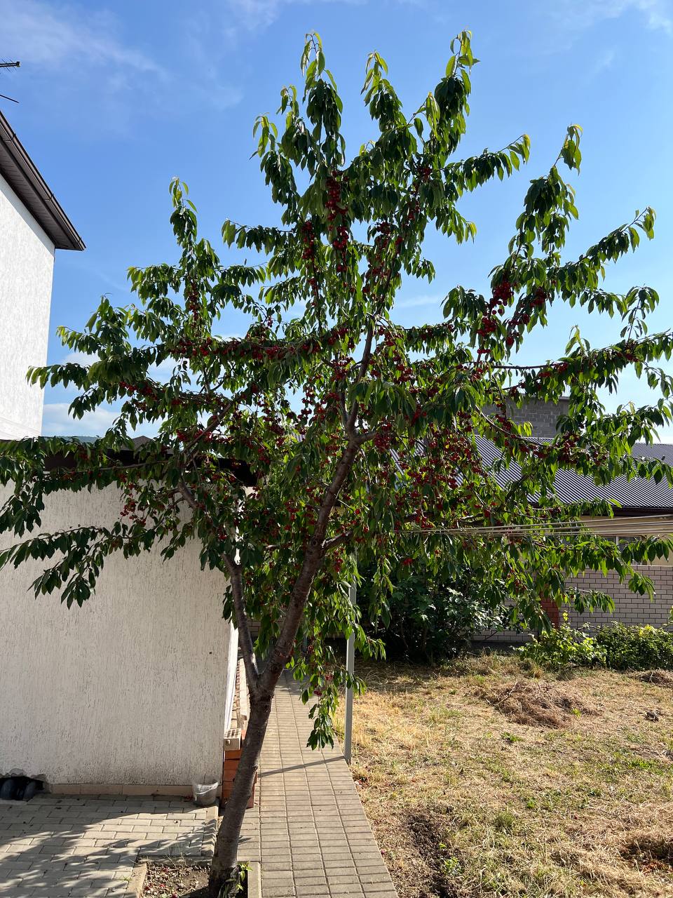 Фото Veles House