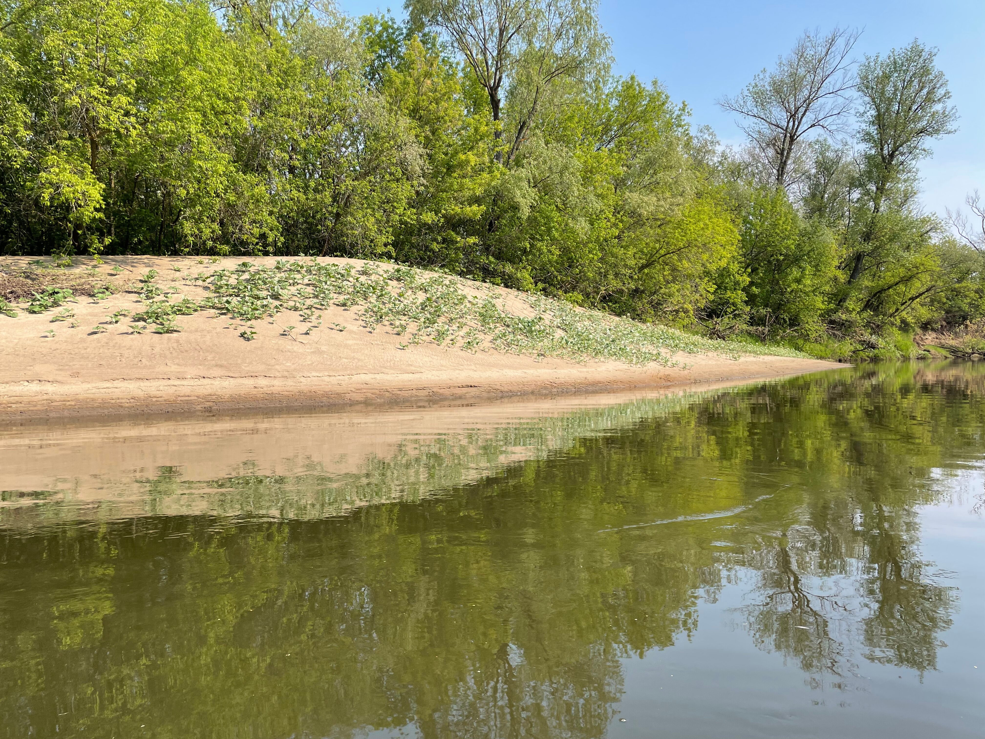 Фото У реки