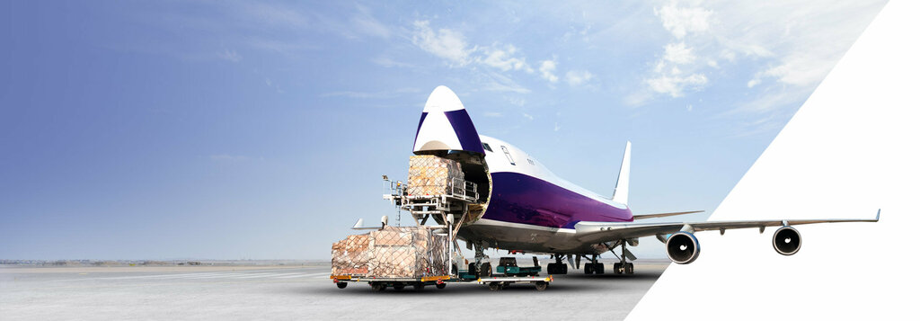 Logistics company Freight X, Dubai, photo