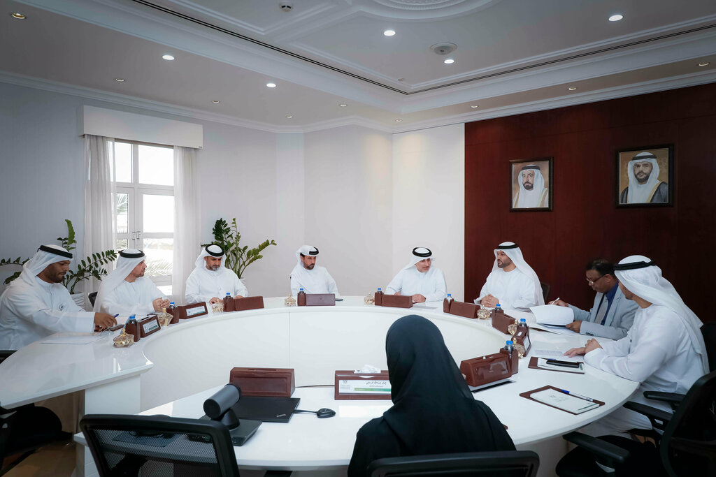 Business consulting Al Saqer Businesses Services, Sharjah, photo