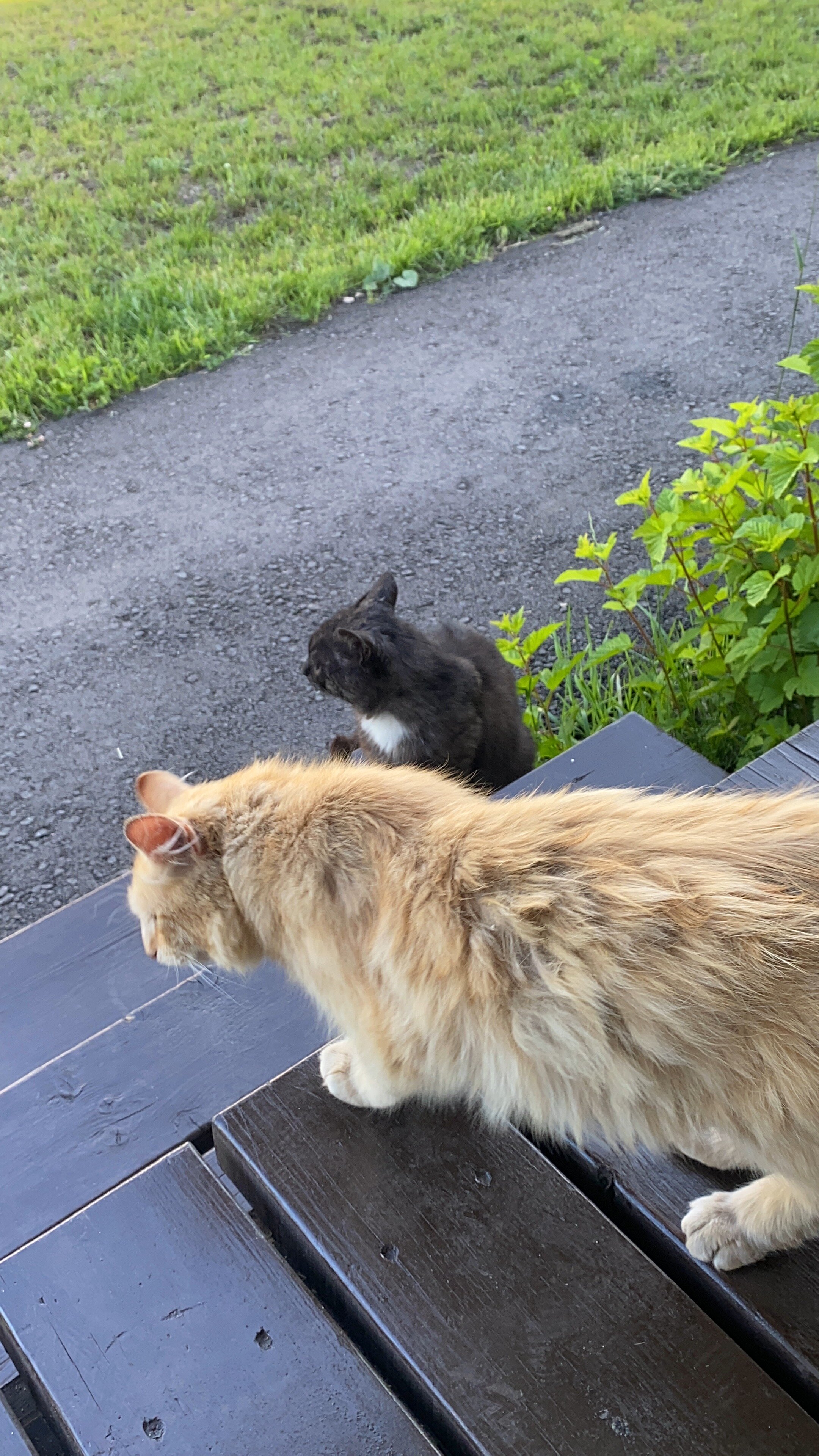 Фото Семейные истории