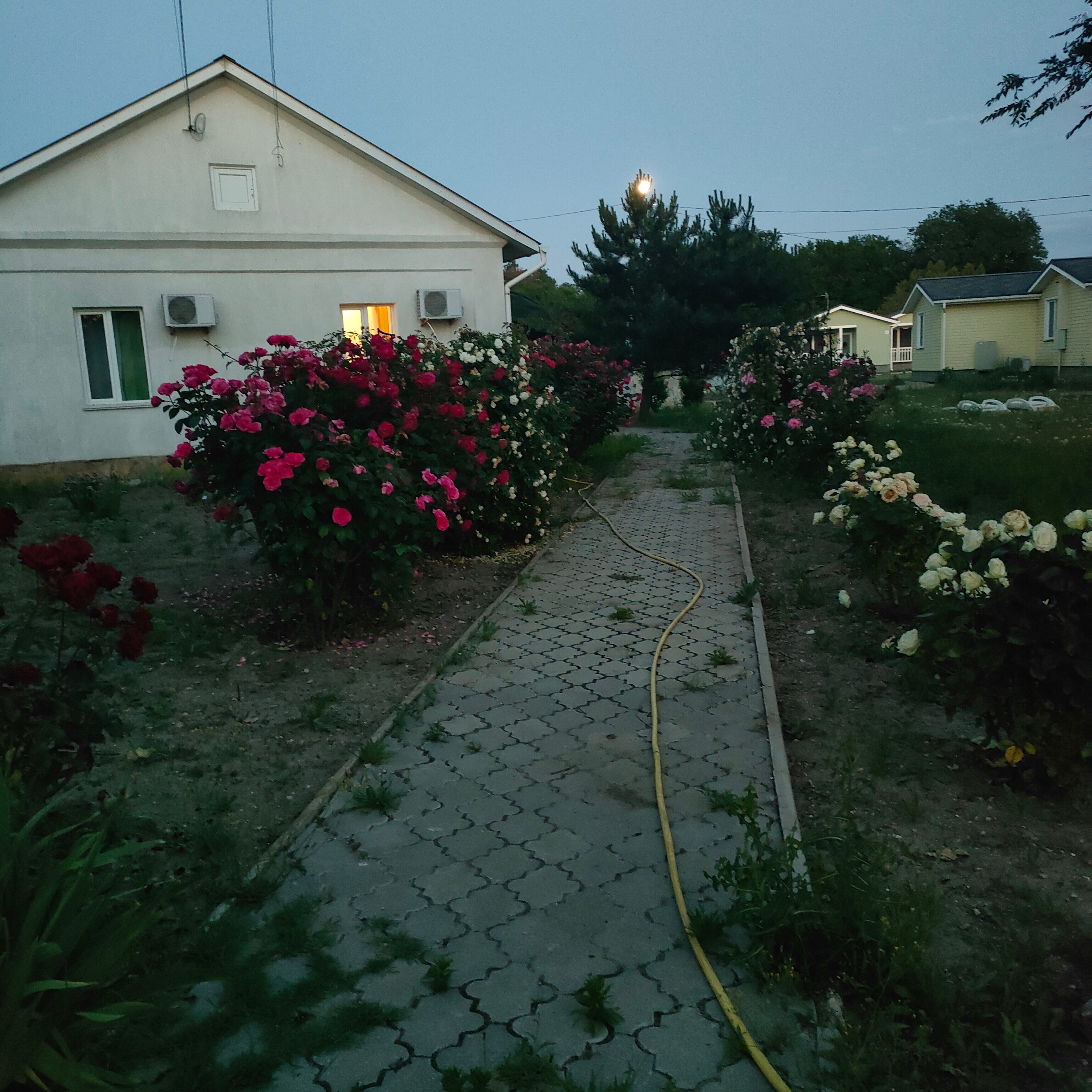 Фото Лагуна