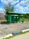 Магазин (Moscow Region, Pshkinskiy Urban District, Alyoshino Village, Rechnaya Street) ، توقف وسائل النقل العام