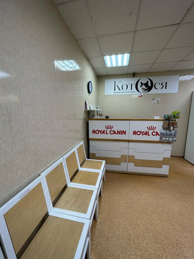 Котося ул гагарина 5 фото КотОся, ветеринарная клиника, ул. Гагарина, 5, Реутов - Яндекс Карты