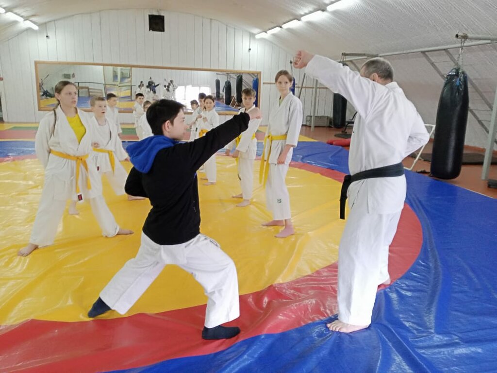 Asociación deportiva Ставропольская краевая федерация Каратэ Шотокан, , foto