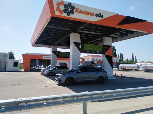 Gas station Kalina Oil, Lipetsk Oblast, photo
