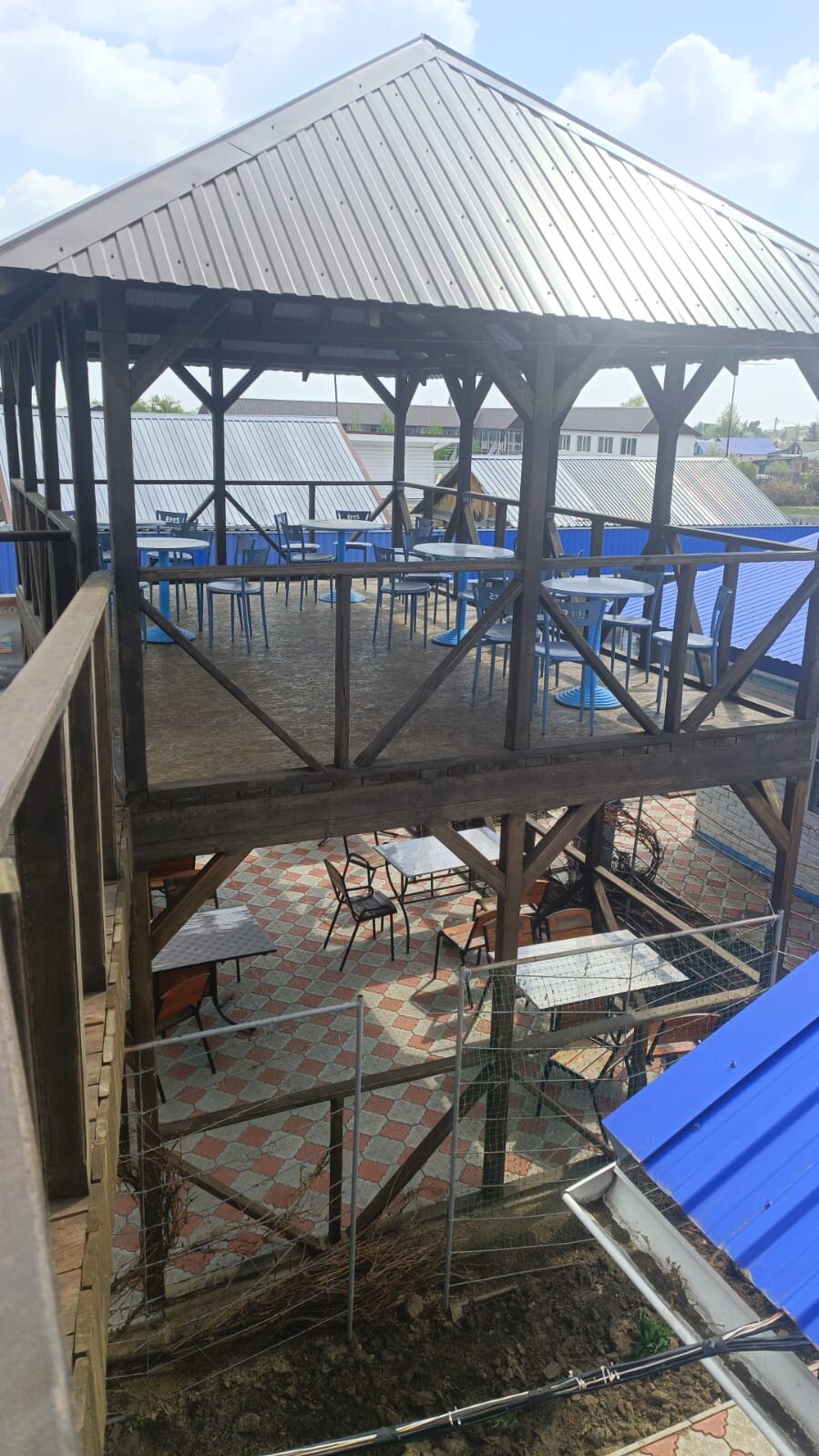 Фото Лазурное Яровое