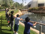 Small Steps Big Dreams (12/2, Hessa Street, Al Barsha South 2, Al Barsha South, Hadaeq Mohammed Bin Rashid, Dubai), kindergarten, nursery