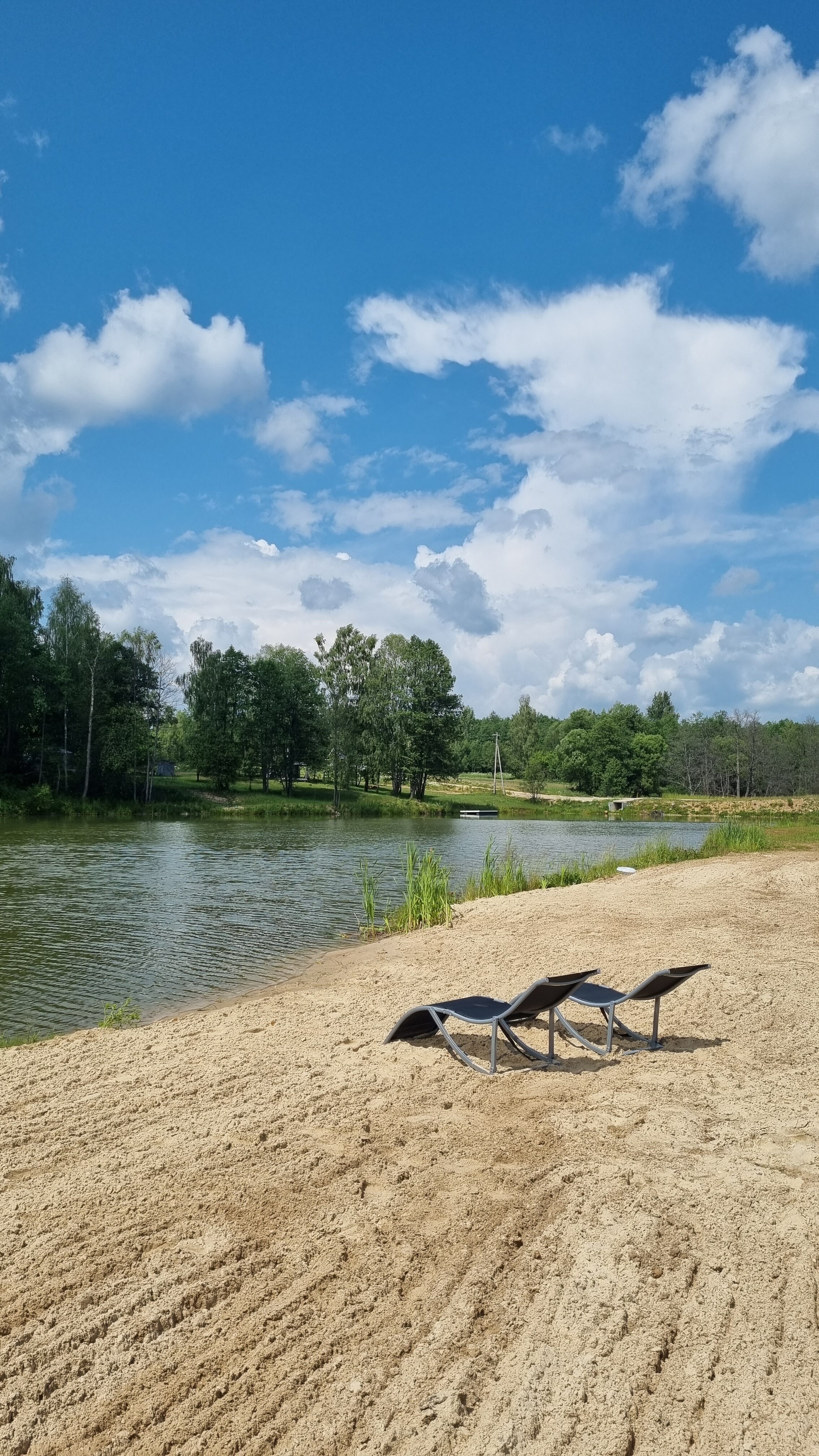 Фото Малина