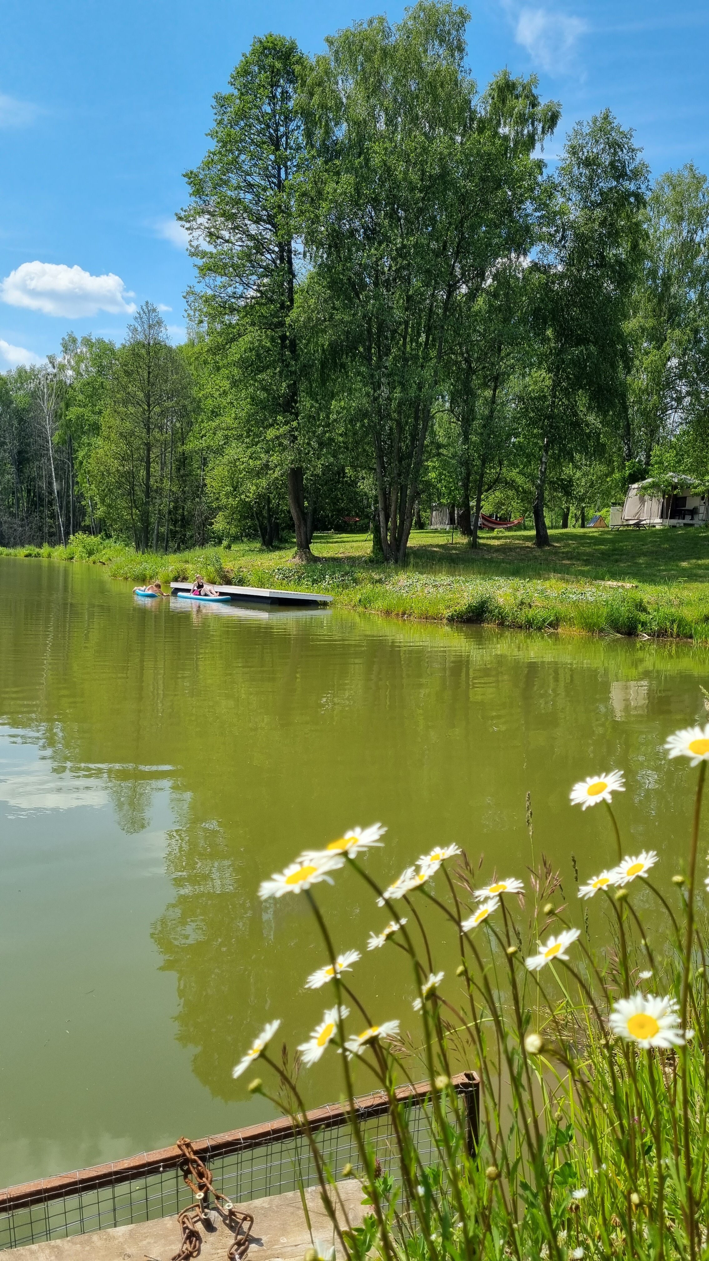 Фото Малина