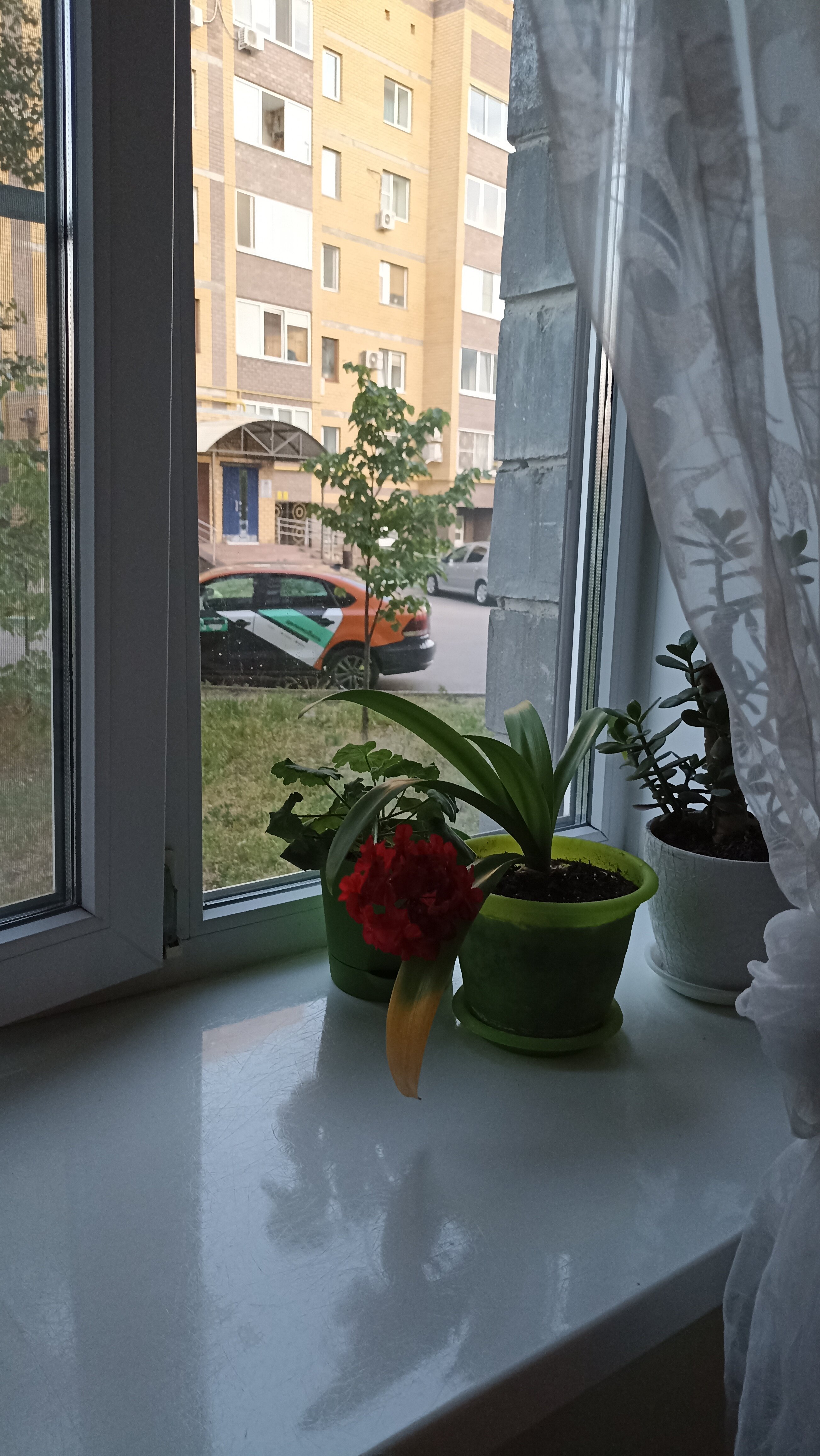 Фото Хостел