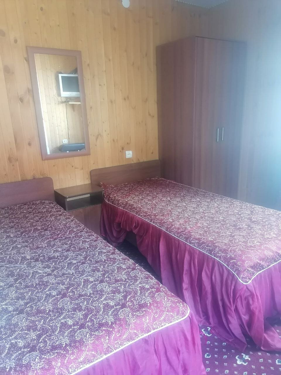 Фото Старый Клён