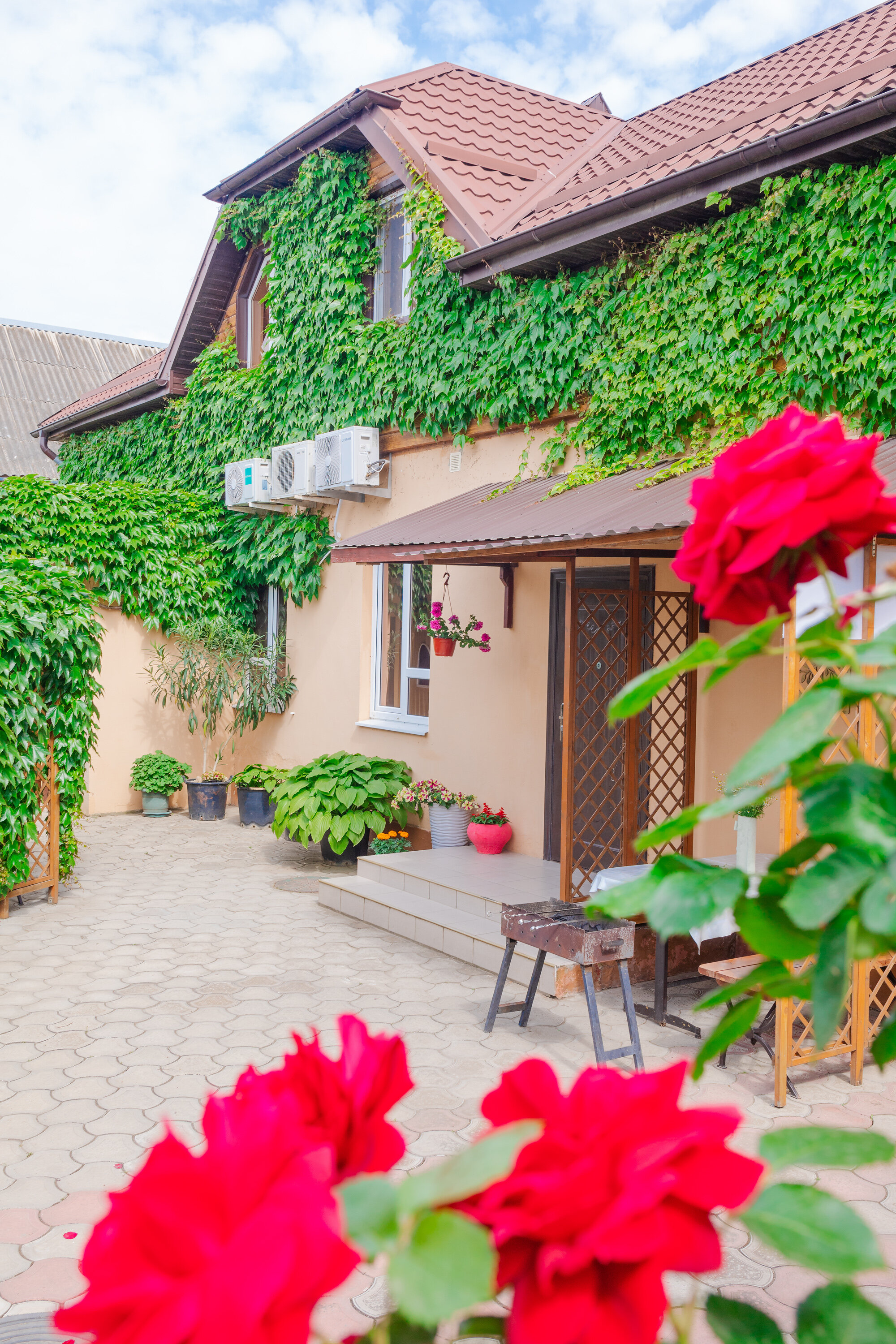 Фото Черномор