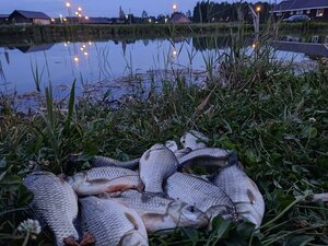 Иное жильё Ярославские озерки