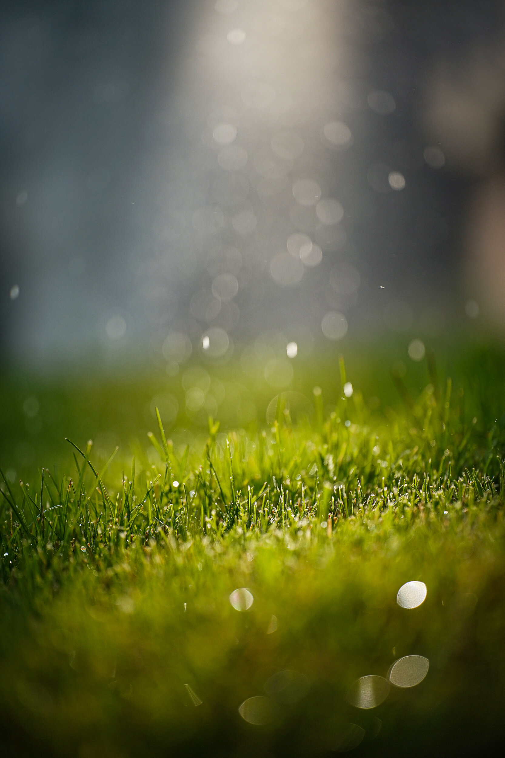 Фото Моравия