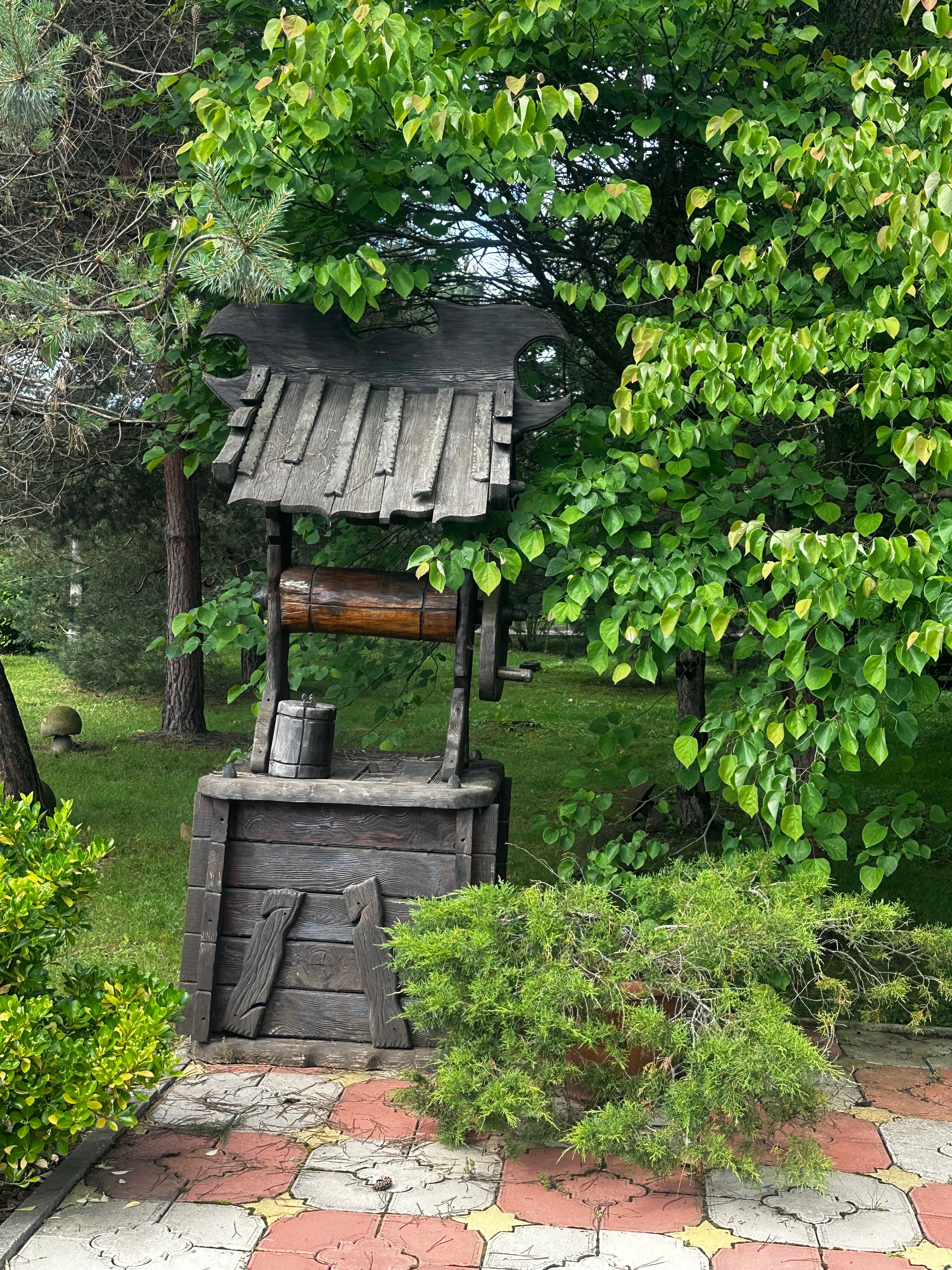 Фото Лукоморье