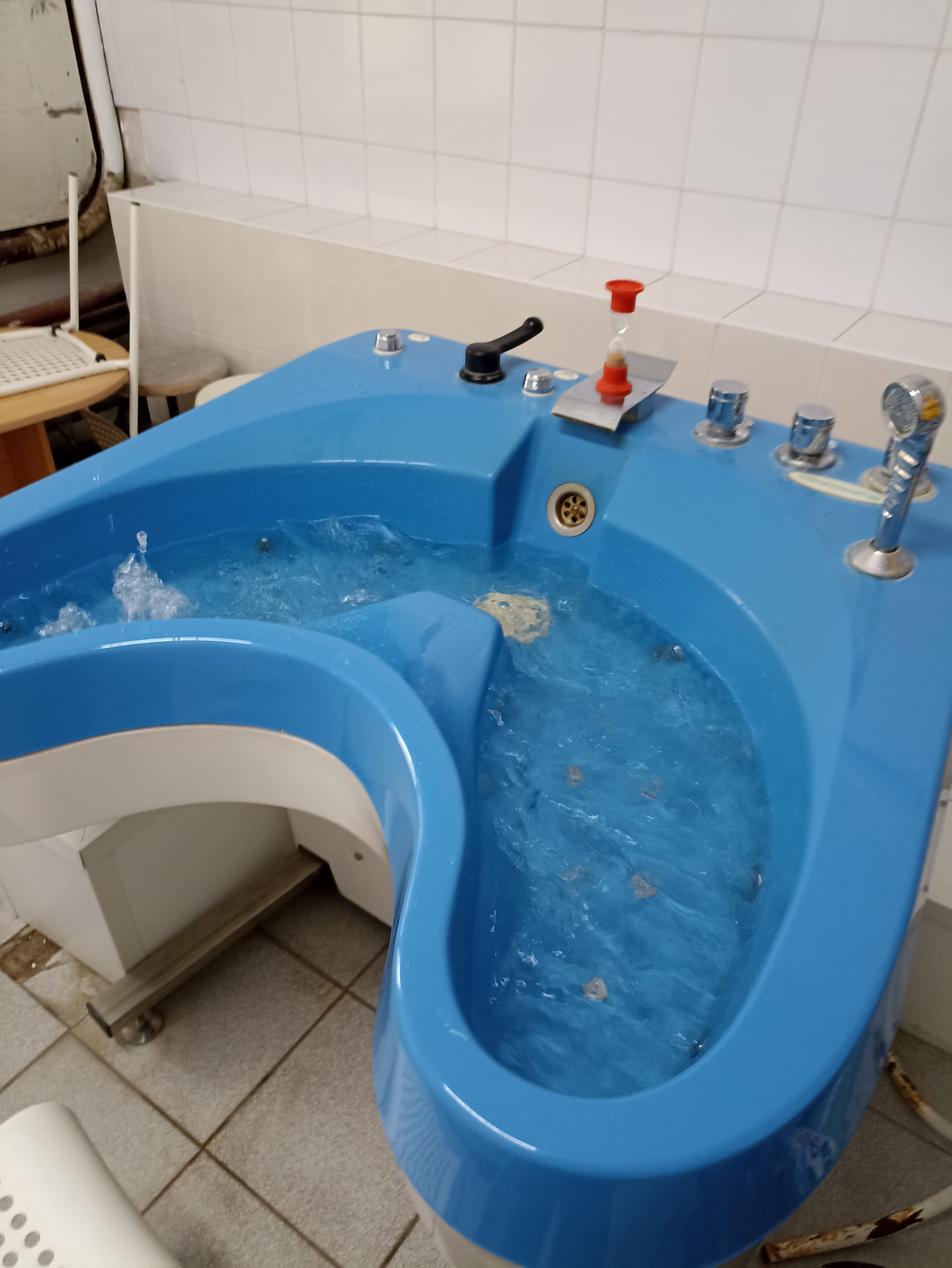 Фото Лесная сказка