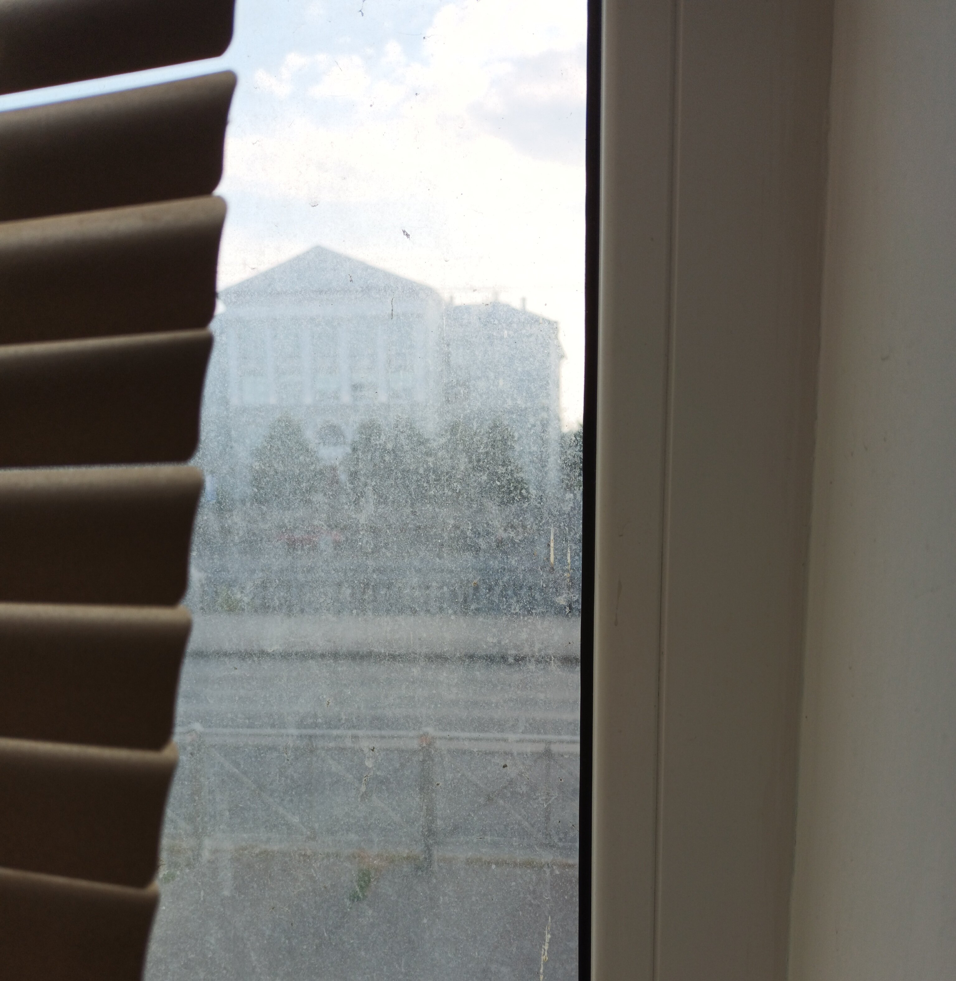 Фото Дюжина