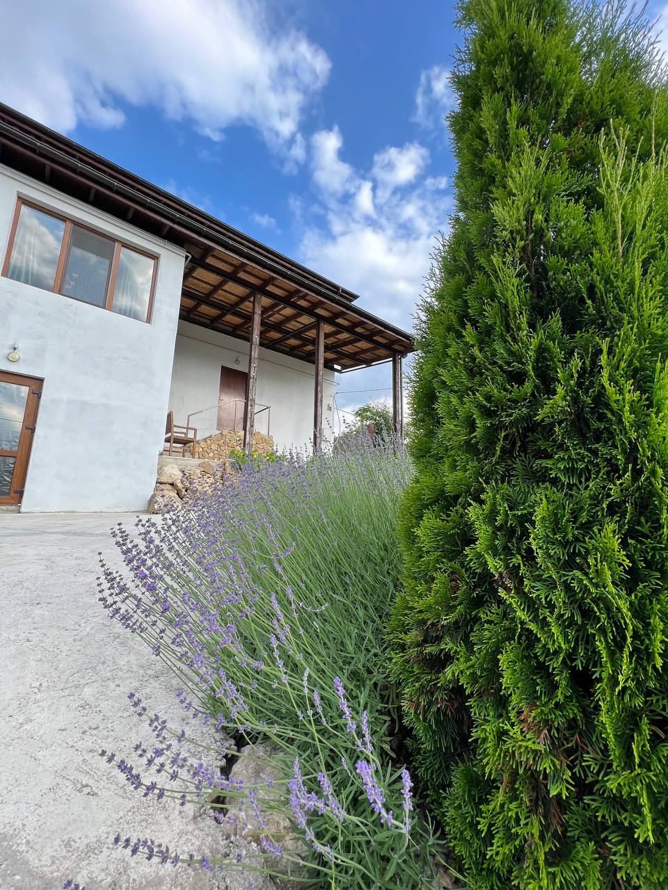 Фото Паганель