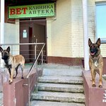 Ветсервис (Kalininskiy City Administrative District, mikrorayon Snegiri, Rassvetnaya ulitsa, 12), veterinary clinic