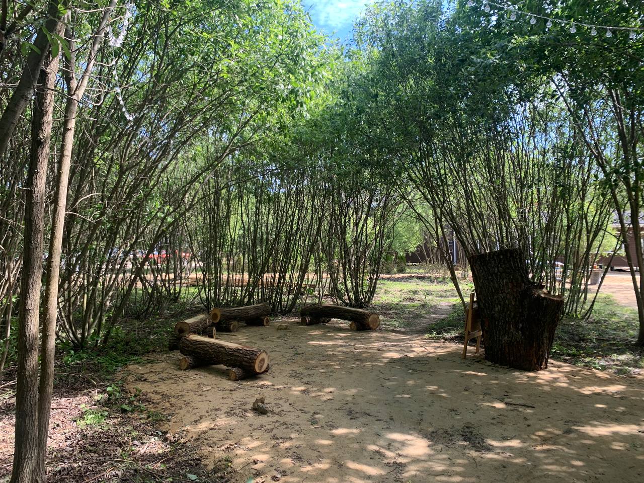 Фото Пронский Берег