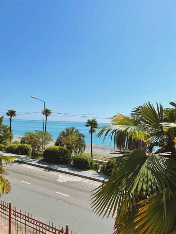 Фото Континент Гагра