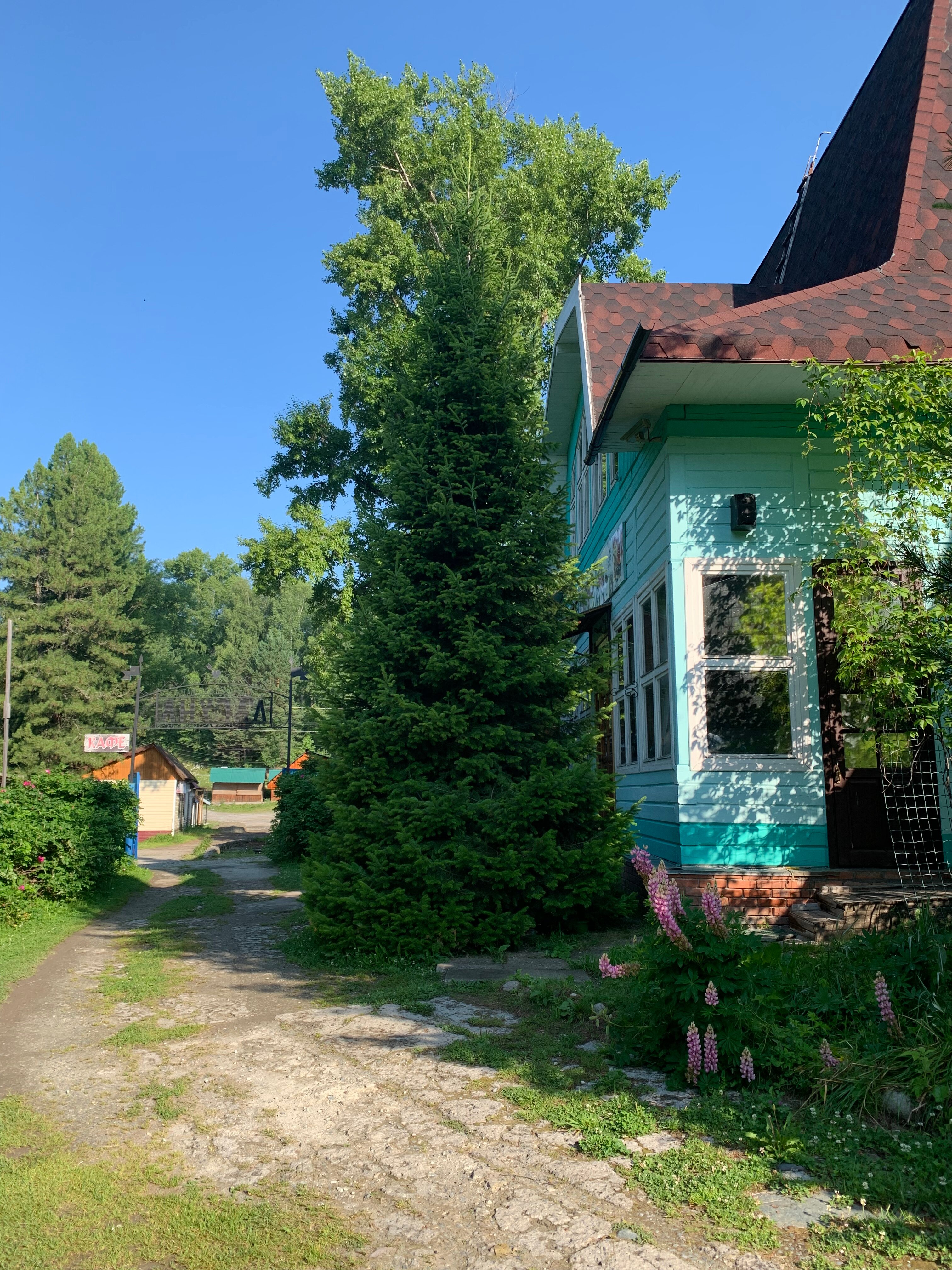 Фото Лагуна