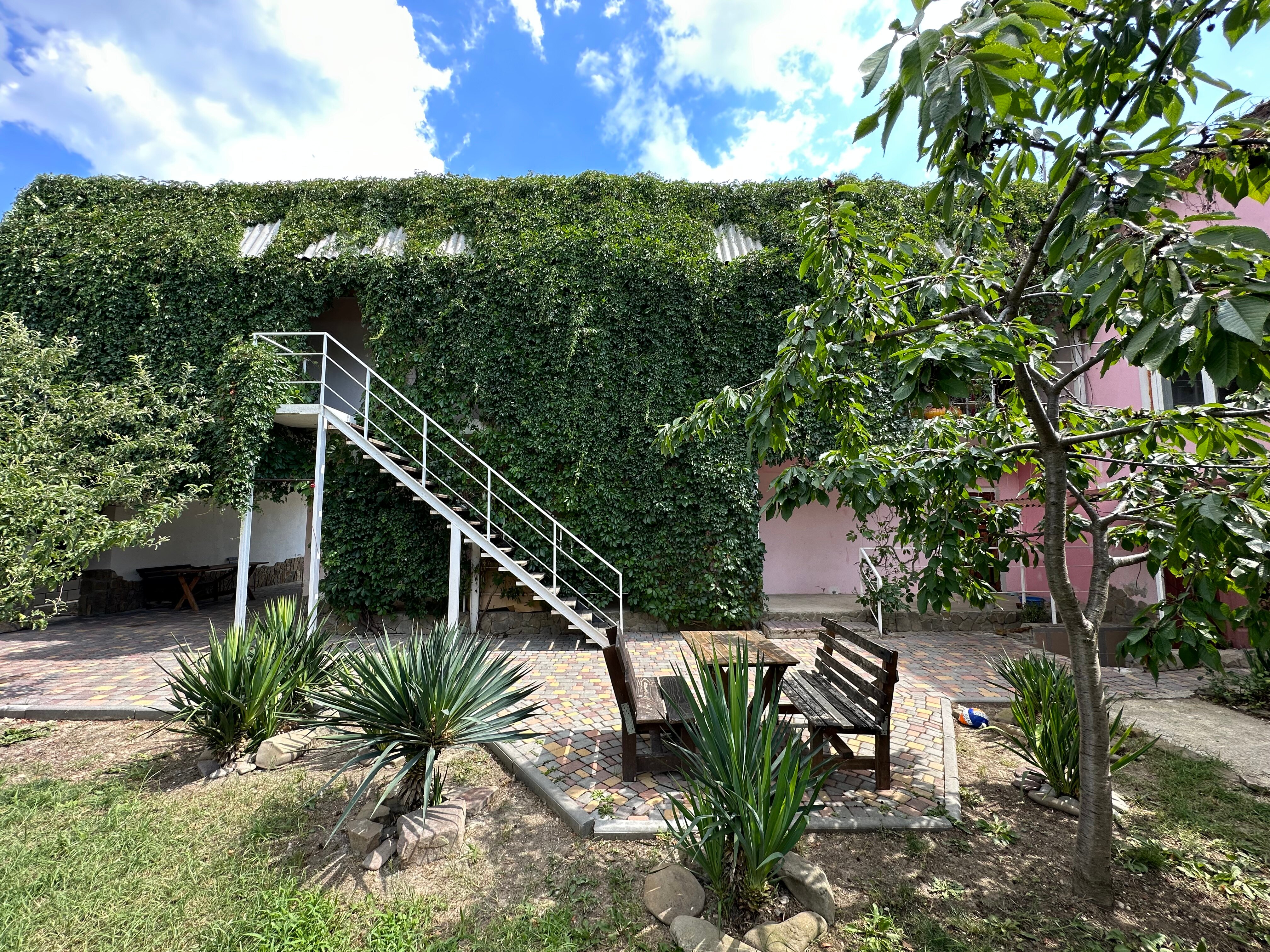 Фото Фламинго