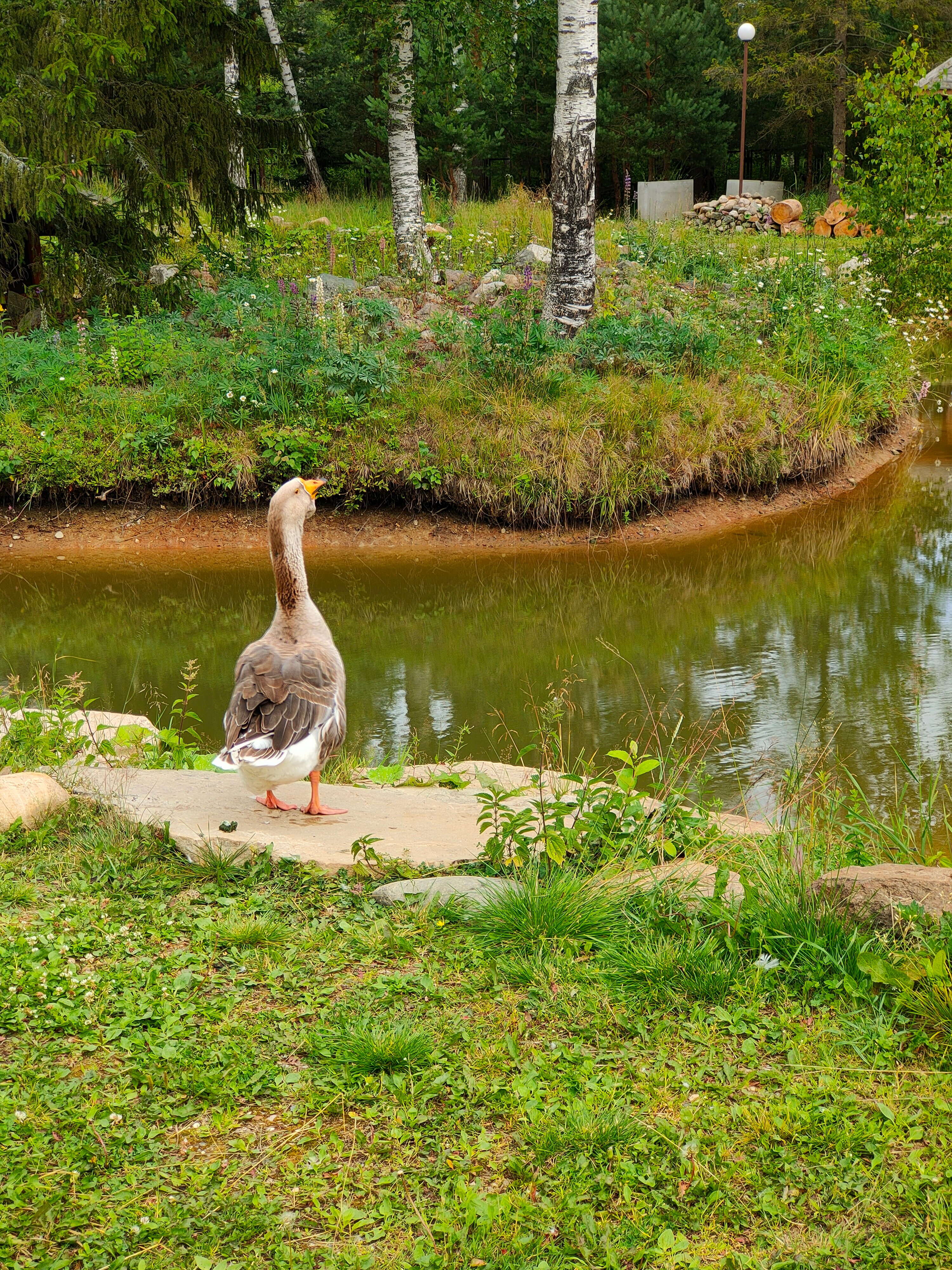 Фото Южный Паркъ
