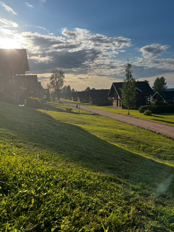 Фото Вохотка