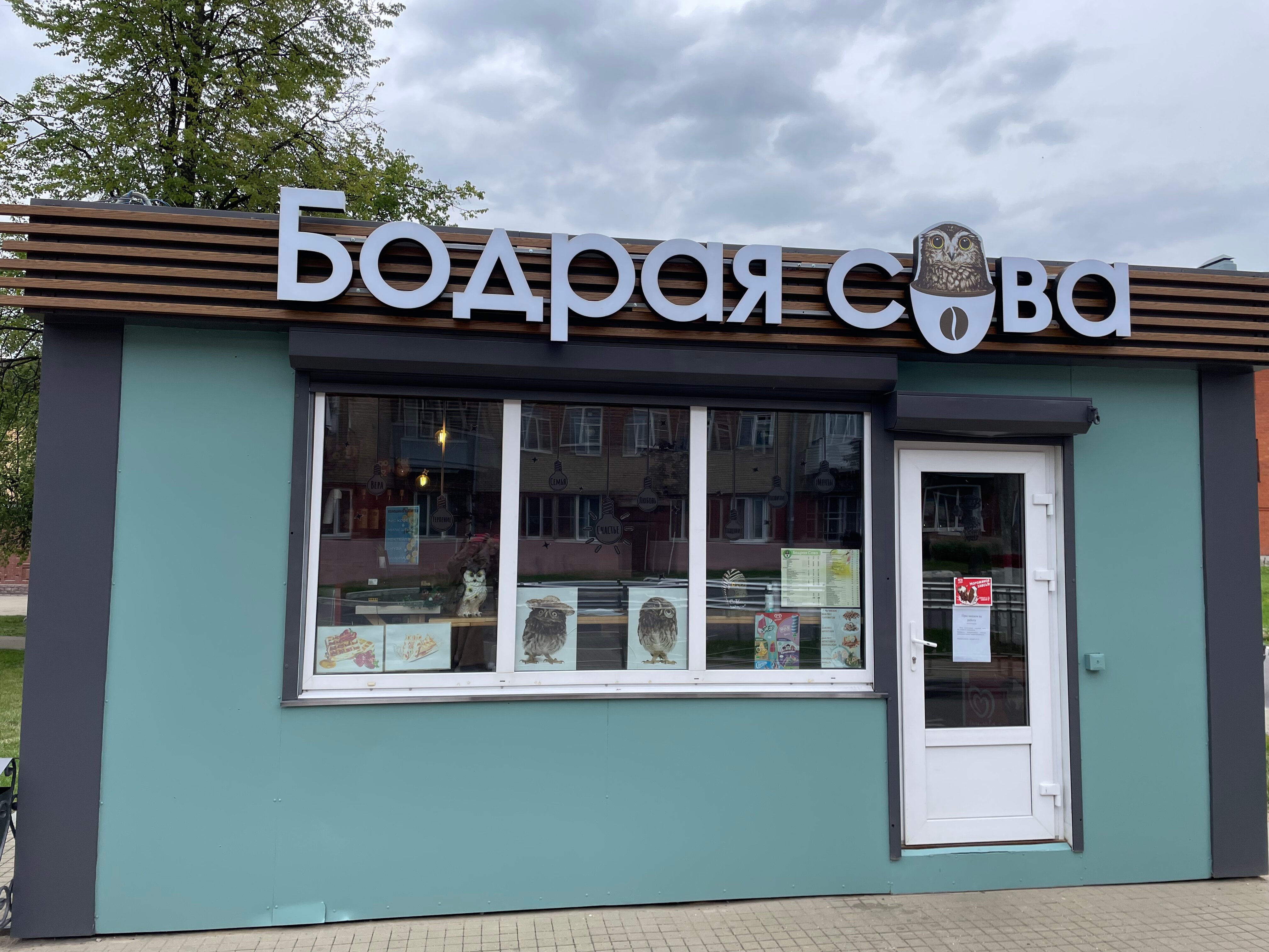 Сова гродно