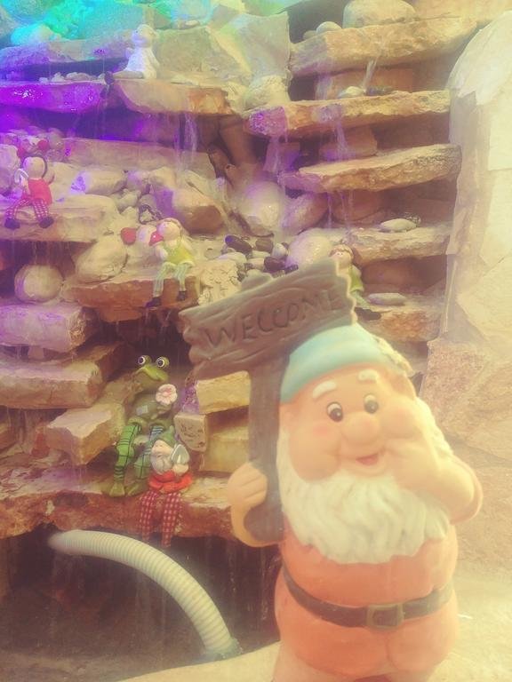 Фото Vitrage Guest House