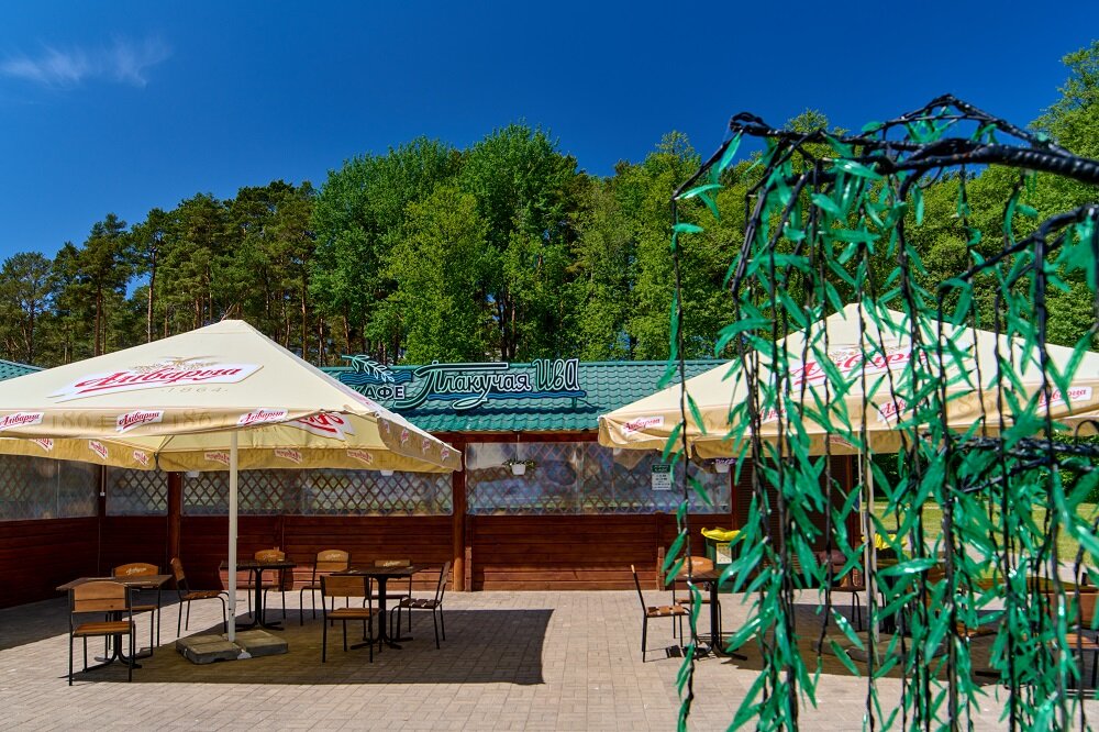 Фото Спутник