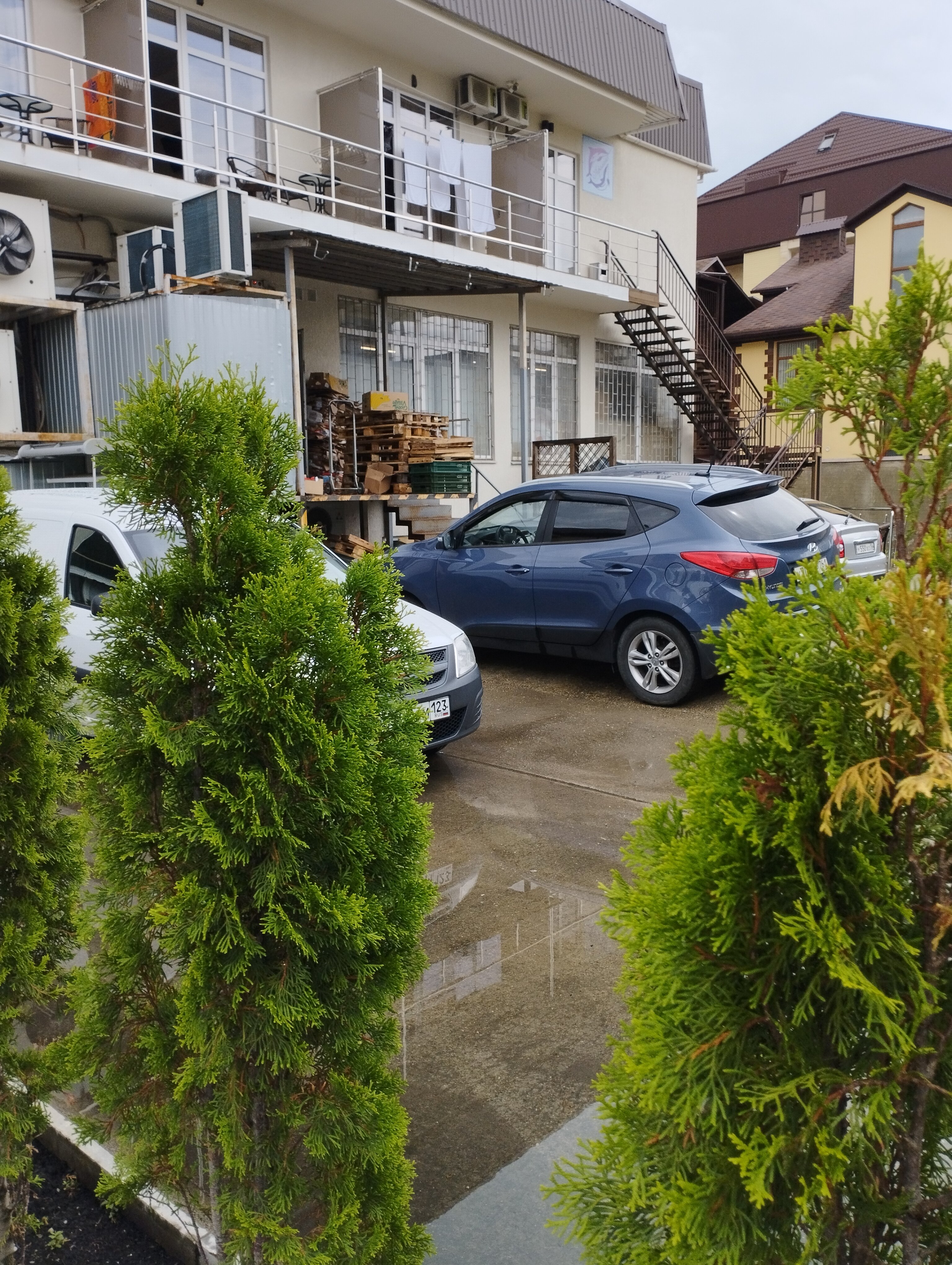 Фото Афалина+