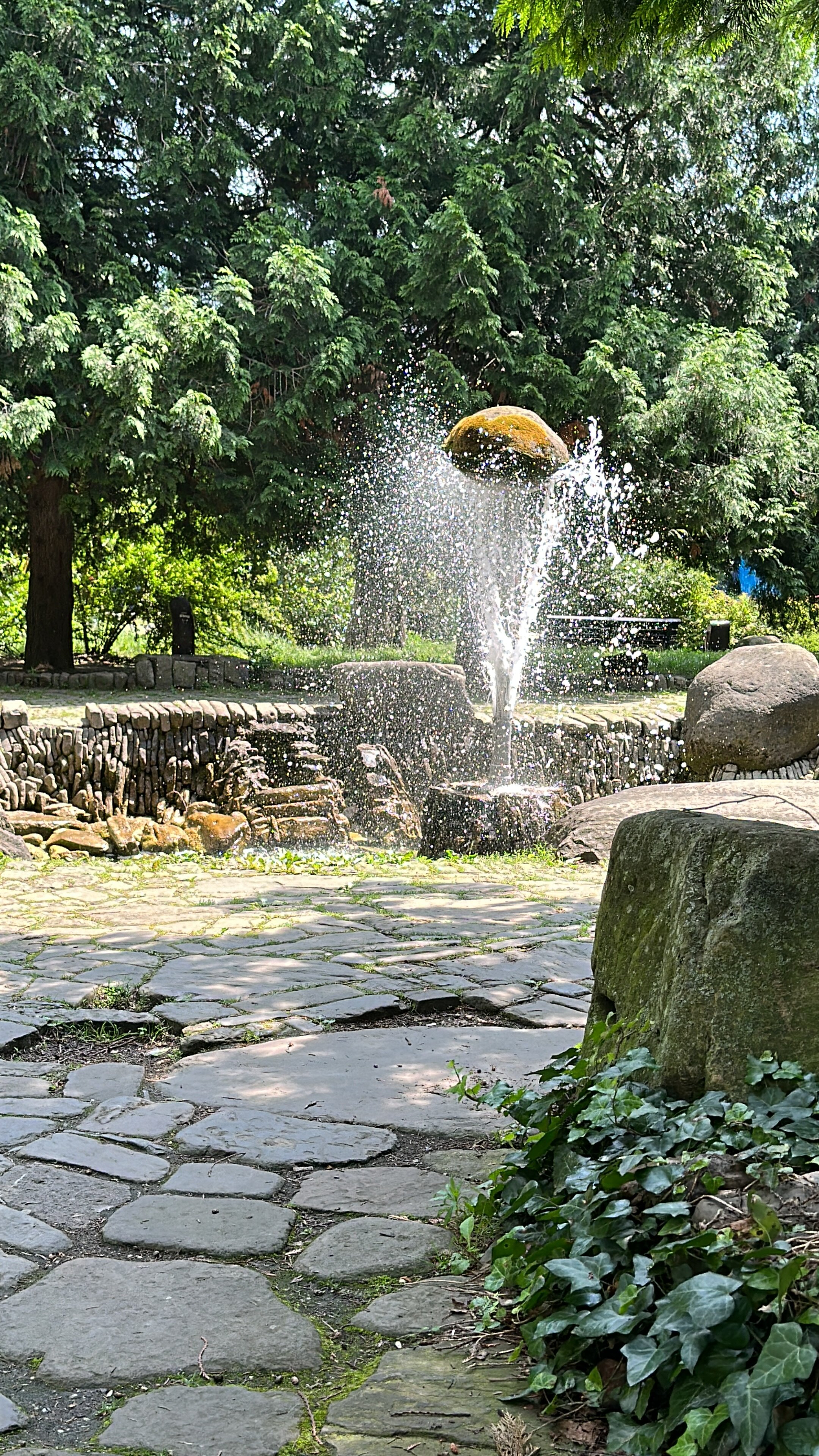 Фото Рич Хаус