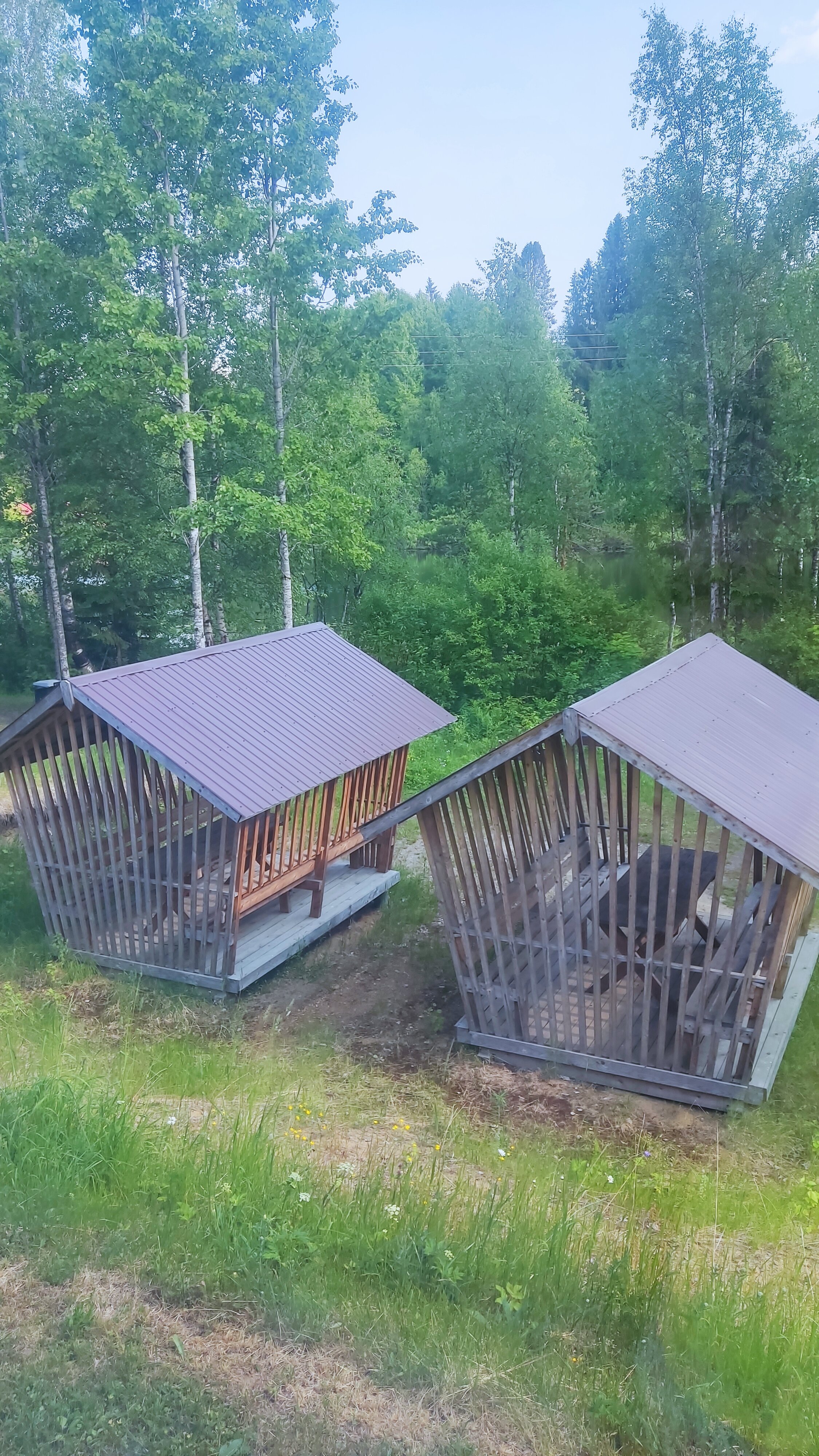 Фото Фортуна