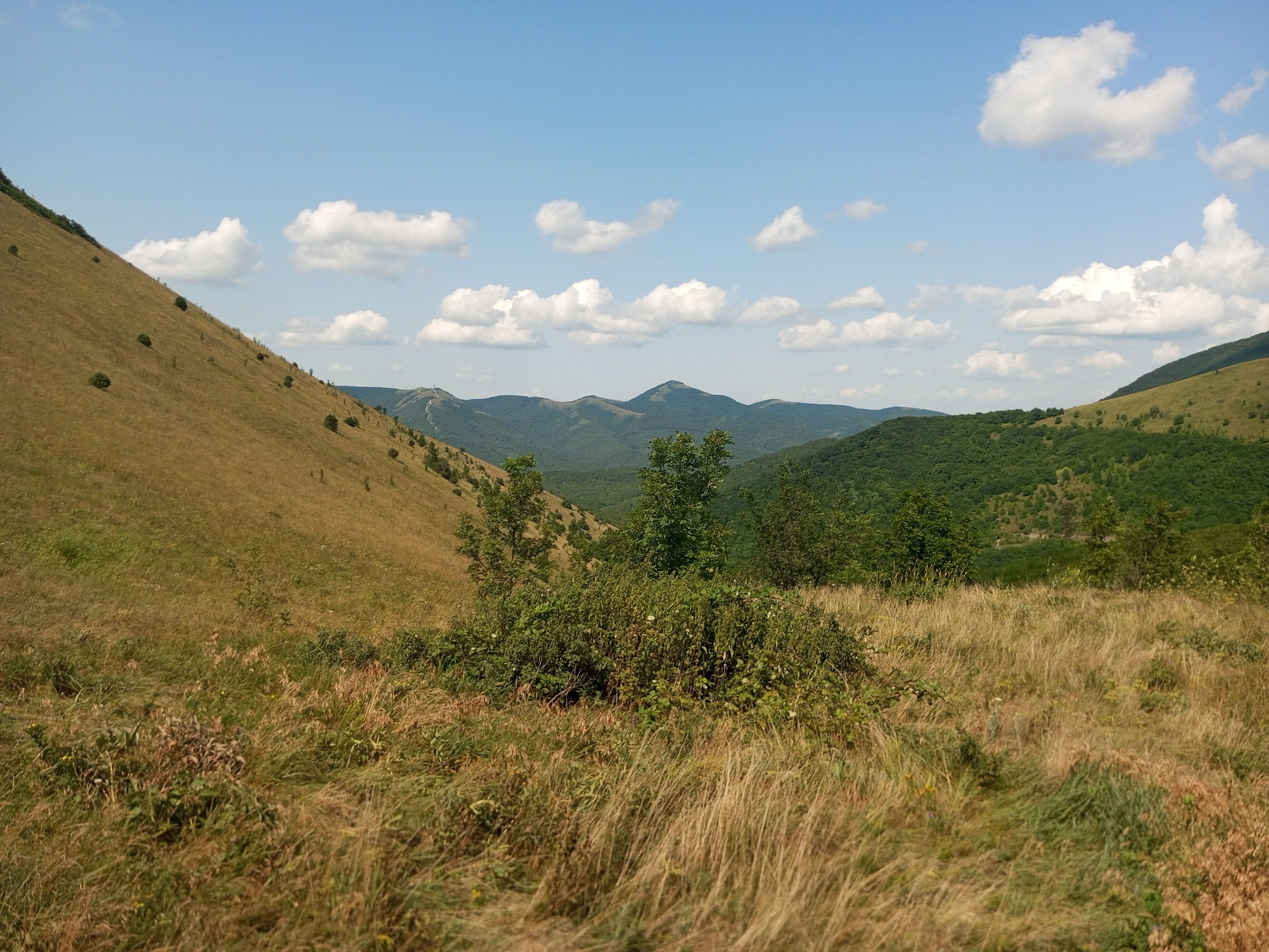 Фото Надежда