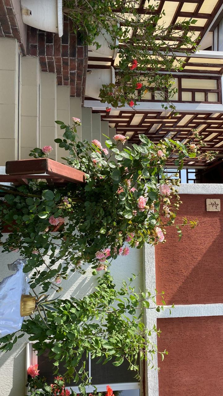 Фото Вилла София