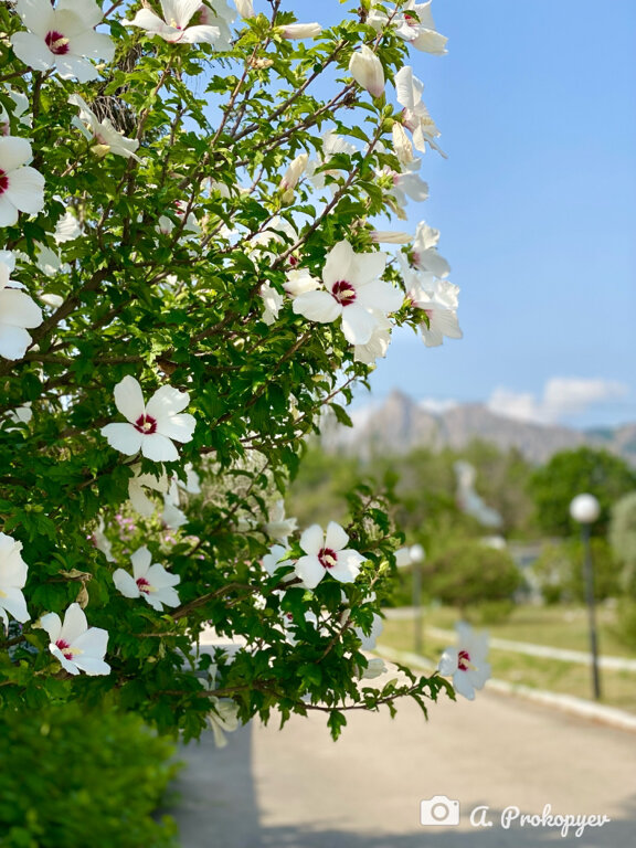 Фото Голубой залив