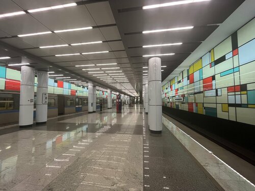 Rumyantsevo (Moscow, Moskovskiy Settlement, derevnya Rumyantsevo), metro station