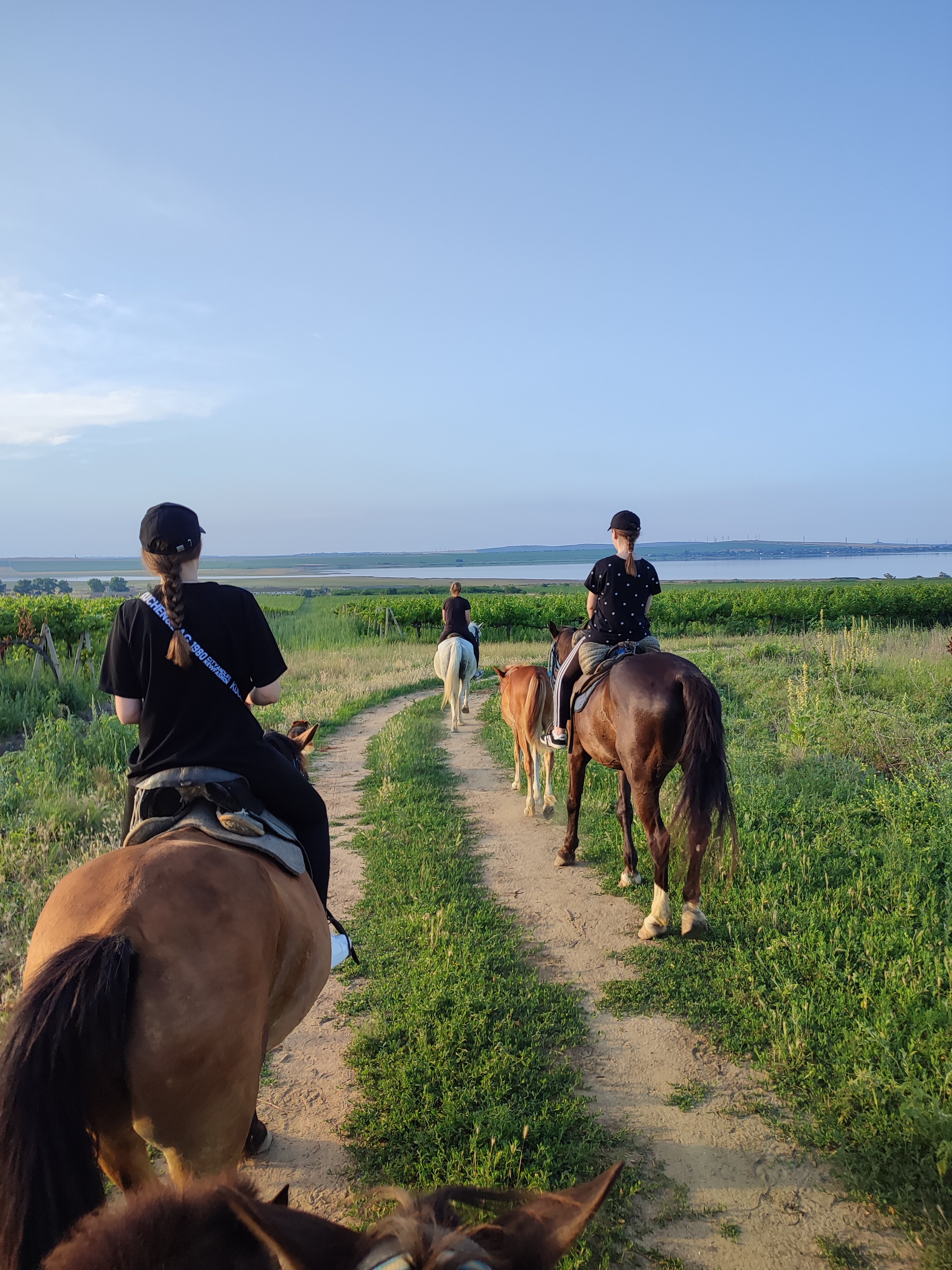 Сексуалдық фильм 2001